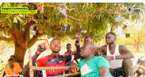Watch as residents of Sanguli Community hang phones on a mango tree before making calls