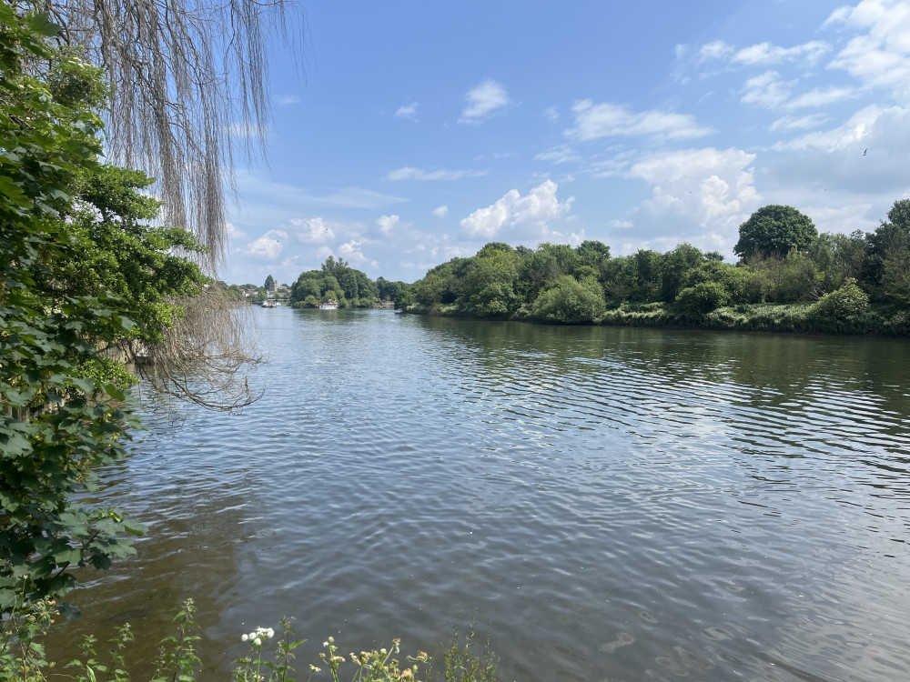 Thames basin named UK’s most polluted as new report reveals 'grim' water quality | Local News | News | Twickenham Nub News