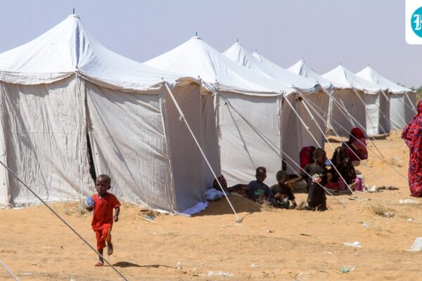 ‘Blood oozing from corpses’: Sudan's El-Fasher escapees recall horror