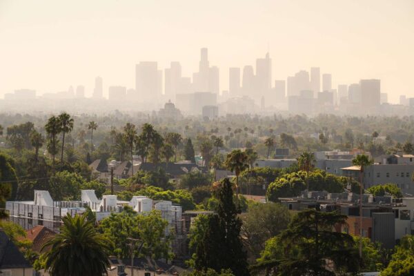 This City Has the Worst Rat Problem in the U.S.—and No, It's Not New York