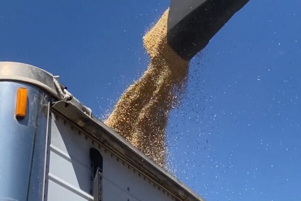 The deal follows months of trade turmoil that left soybean farmers uncertain if they would be able to sell this year’s crop.