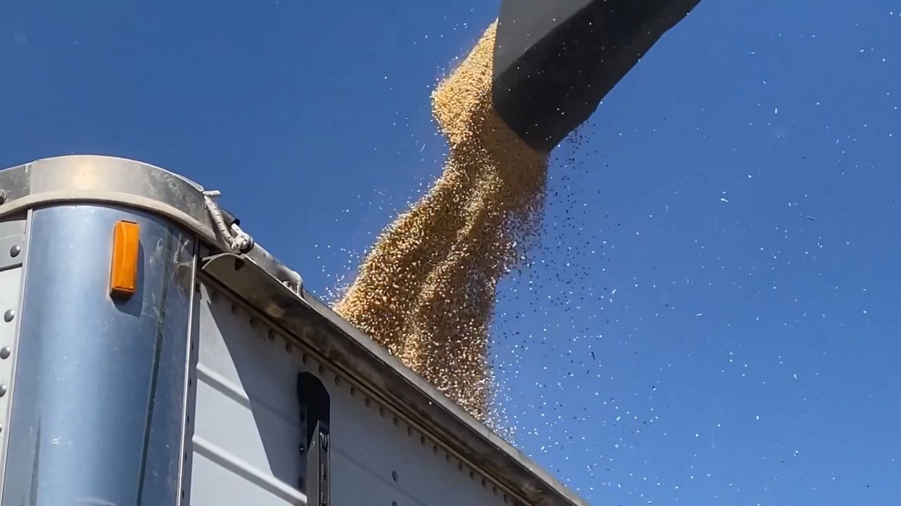 The deal follows months of trade turmoil that left soybean farmers uncertain if they would be able to sell this year’s crop.