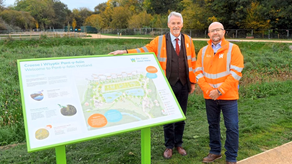 Reedbed used as natural solution to pollution in UK first