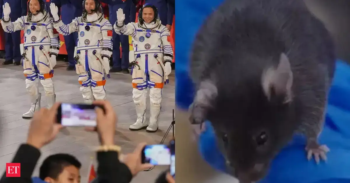 Why did four mice join Chinese astronauts on the latest space station mission? Meet China’s newest space travelers - Two males and two females chosen from 300 after rigorous 60-day training