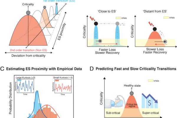 Brains and stock markets follow the same rules in crisis, study finds