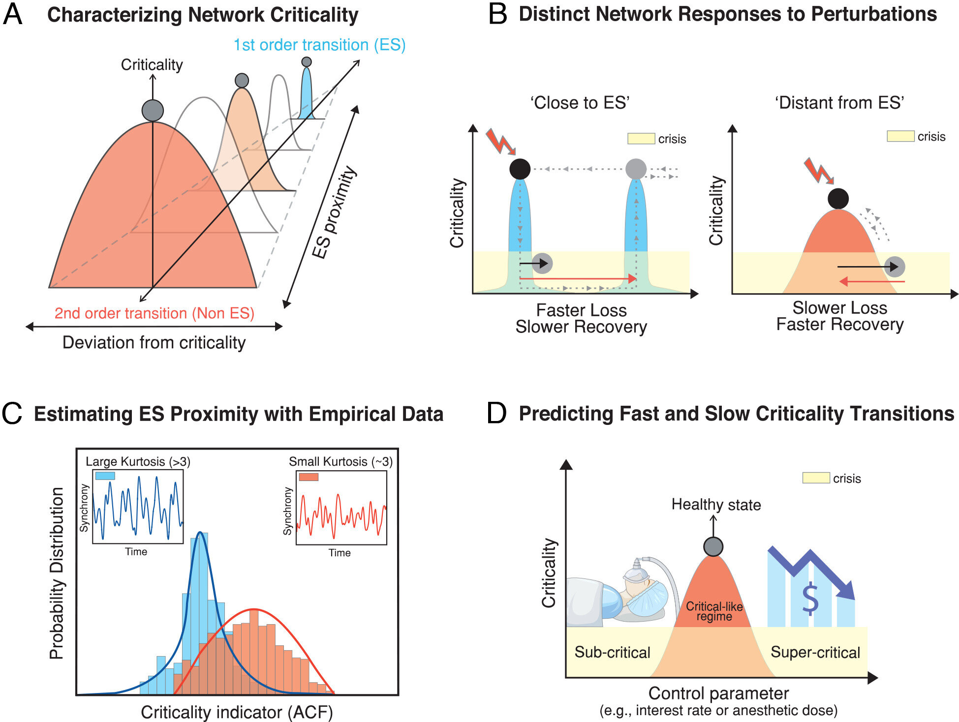 Brains and stock markets follow the same rules in crisis, study finds