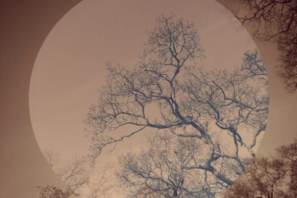 Yahoo lifestyle home