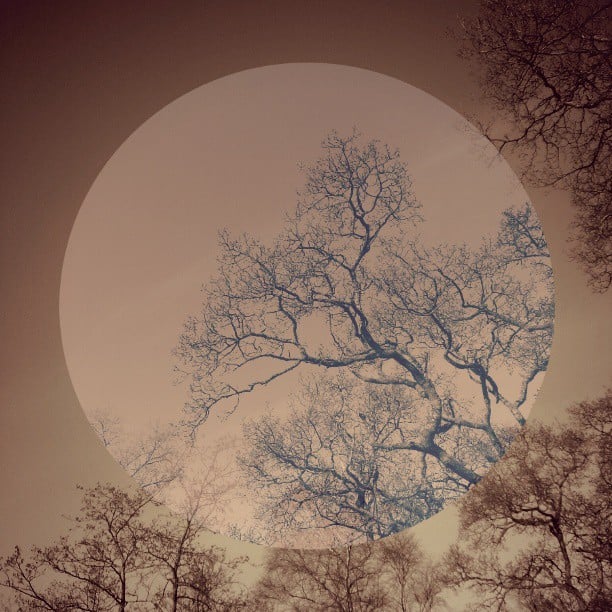 Yahoo lifestyle home