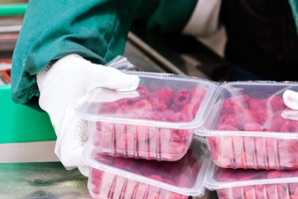 A Fresh Look at Campbell Soup’s (CPB) Valuation Following Recent Share Activity