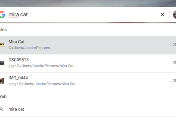 Google's Desktop Search App Is Back (Kind Of)