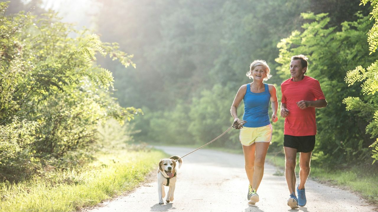 Brain Health by Design: Science-Backed Lifestyle Changes to Start Today