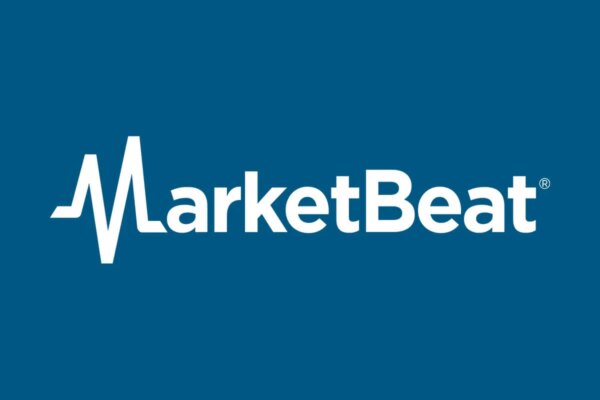 Promising Electric Vehicle Stocks To Consider