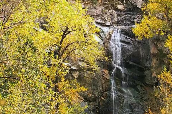 Nature: Black Hills of South Dakota