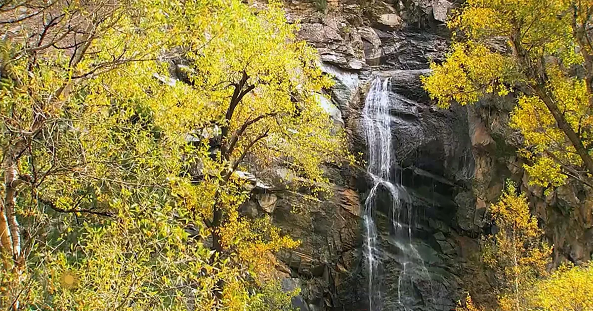 Nature: Black Hills of South Dakota