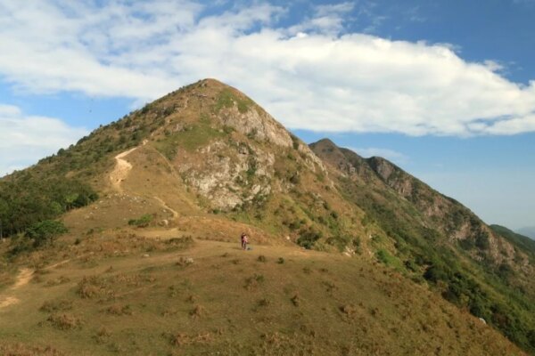 Hong Kong man rescued after paraglider spirals out of control, crashes into trees