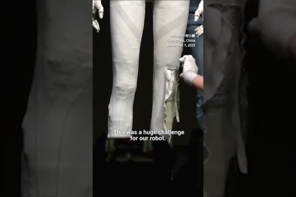 ‘Real Steel’: PLA unveils motion-controlled fight robot to 13 foreign militaries