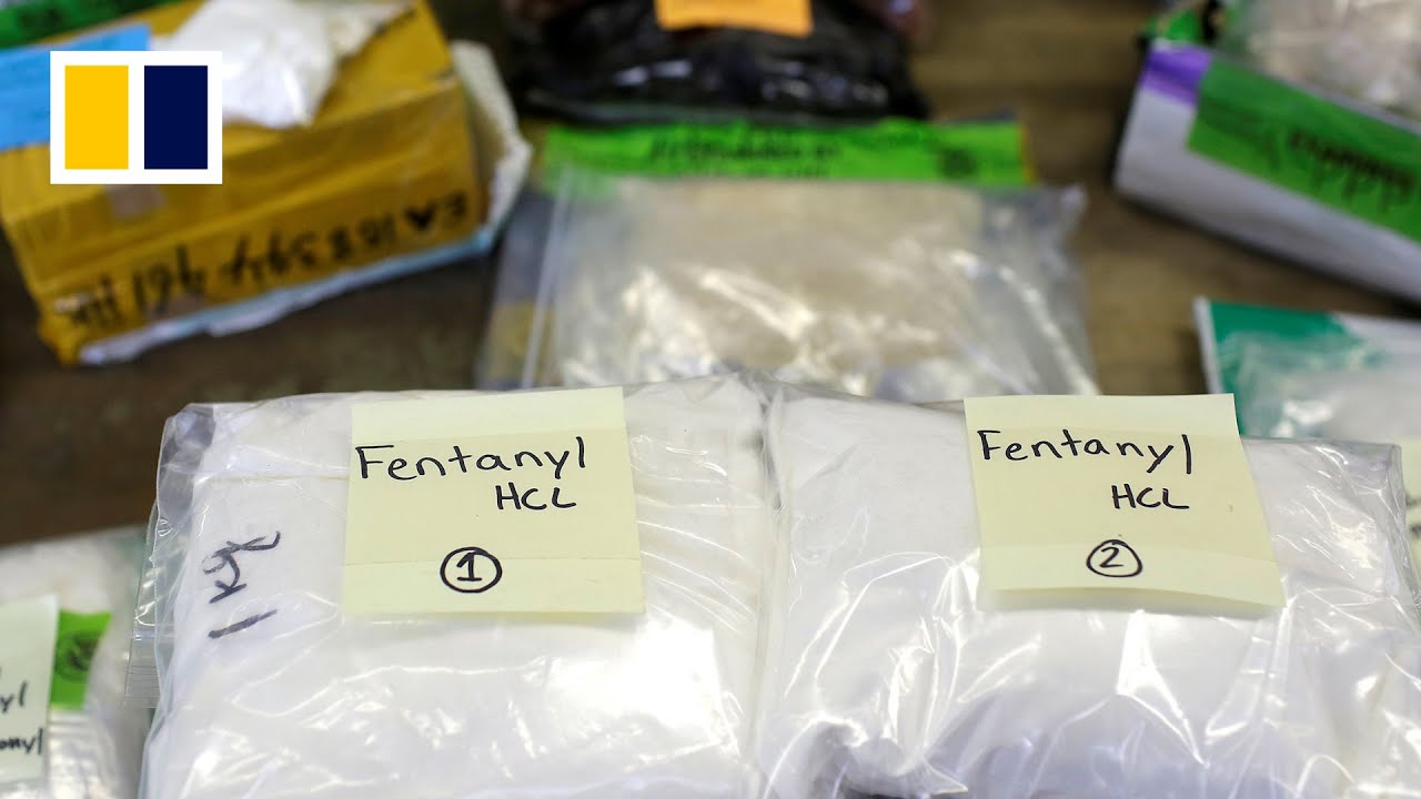 China seizes 430kg of cocaine aided by US intel, a sign anti-drug agreement may be working