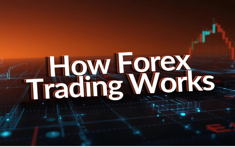 The Evolution of Forex Trading Education And Structured Learning Platforms | LearnForex.Live