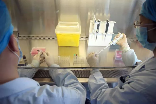 This picture taken on April 3, 2013 shows Chinese health workers preparing an H7N9 virus detection kit at the Center for Disease Control (CDC) in Beijing.  A man who died was one of two H7N9 avian influenza infections reported in Zhejiang in eastern China on April 3, the official state news agency said, citing local authorities, bringing the country's total number of cases to nine. Chinese authorities are trying to determine how exactly the new variety of bird flu infected people, but say there is no evidence yet of human-to-human transmission.   CHINA OUT      AFP PHOTO        (Photo credit should read STR/AFP via Getty Images)