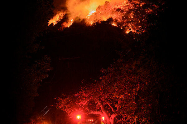 The Year in Pictures 2025: Reflecting on Turbulent Times