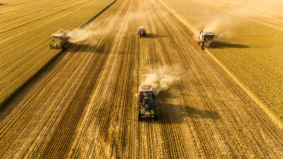 Tech-driven rural revitalization takes roots across China_英语频道_央视网(cctv.com)