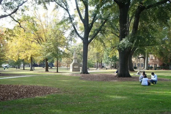 A green expanse of grass and trees is seen with people sitting under a tree.