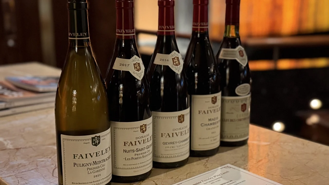 Can Hong Kong mature as a wine hub? French vineyard owner calls for new focus