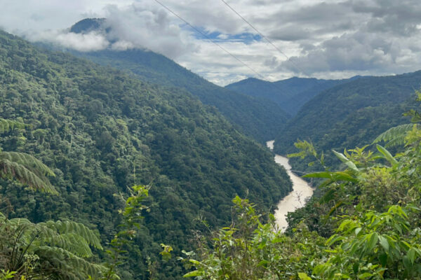 The Ecuadorian Amazon near Limón Indanza. Credit: Katie Surma/Inside Climate News