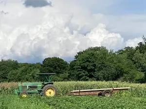 Beloved Mass. farm closing its doors after more than 100 years