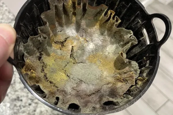 The inside of the coffee maker is covered in mold
