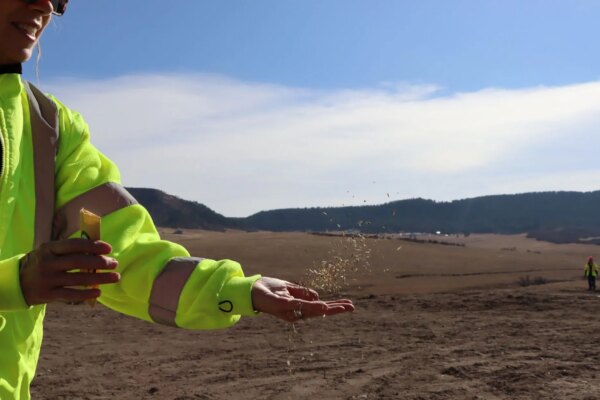A worker scatters seeds.