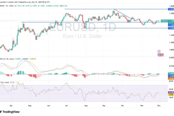 EUR/USD Analysis 01/12: Will Trading Turn Bullish? (Chart)