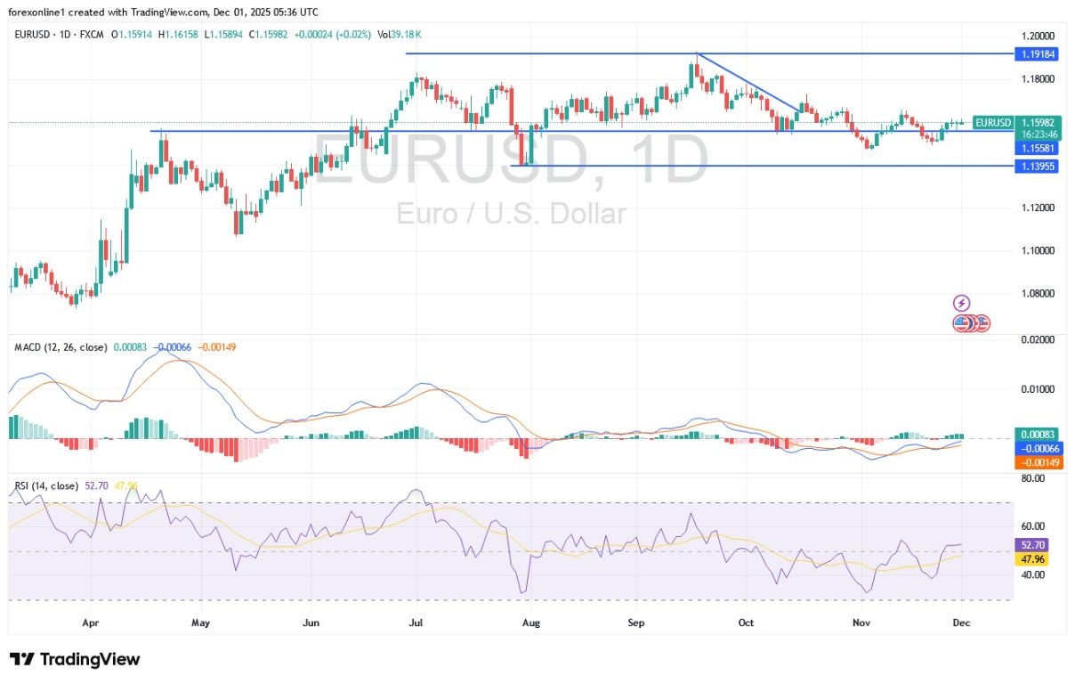 EUR/USD Analysis 01/12: Will Trading Turn Bullish? (Chart)