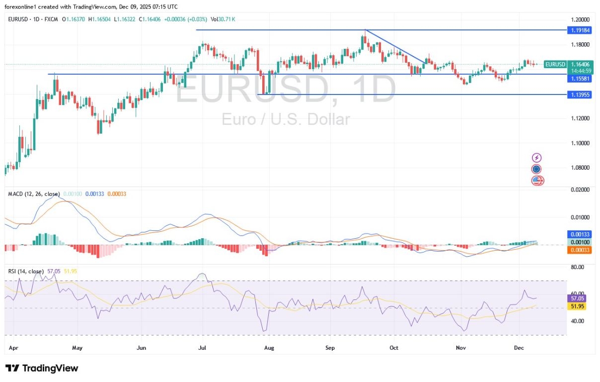 EUR/USD Analysis 09/12: Edges Lower Ahead of Jobs (Chart)