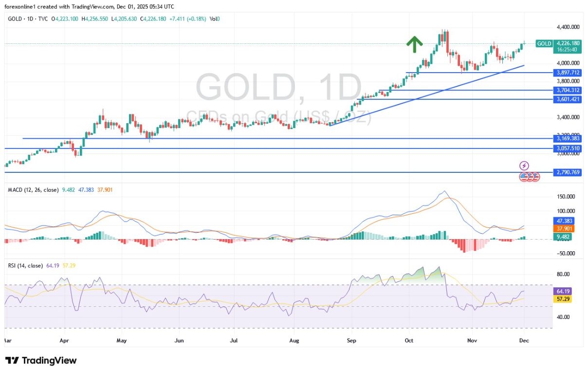 Gold Analysis 01/12: Record Breakout Trends (Chart)