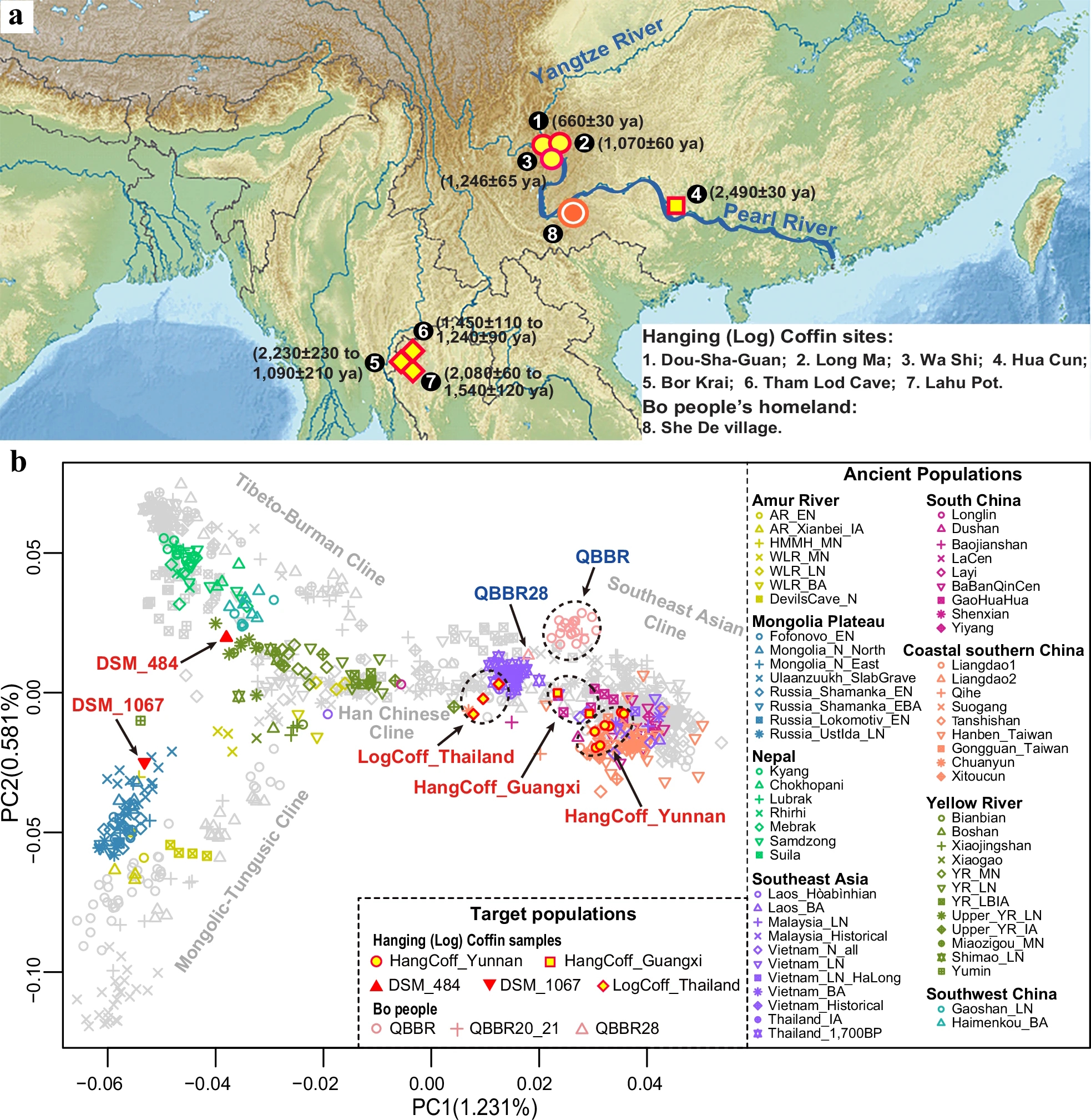 Graph displaying results of the genetic analysis of the ancient remains.