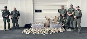 Ohio hunter forfeits over 200 antlers, hit with 10-year suspension after multi-year investigation