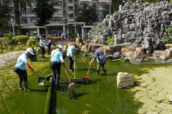 Hong Kong supervisor held over cruelty after botched pond clean-up kills 110 fish