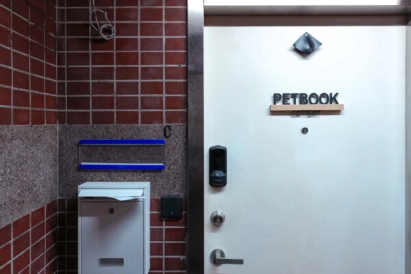 Animal welfare groups slam Hong Kong pet shop for offering cat rental service