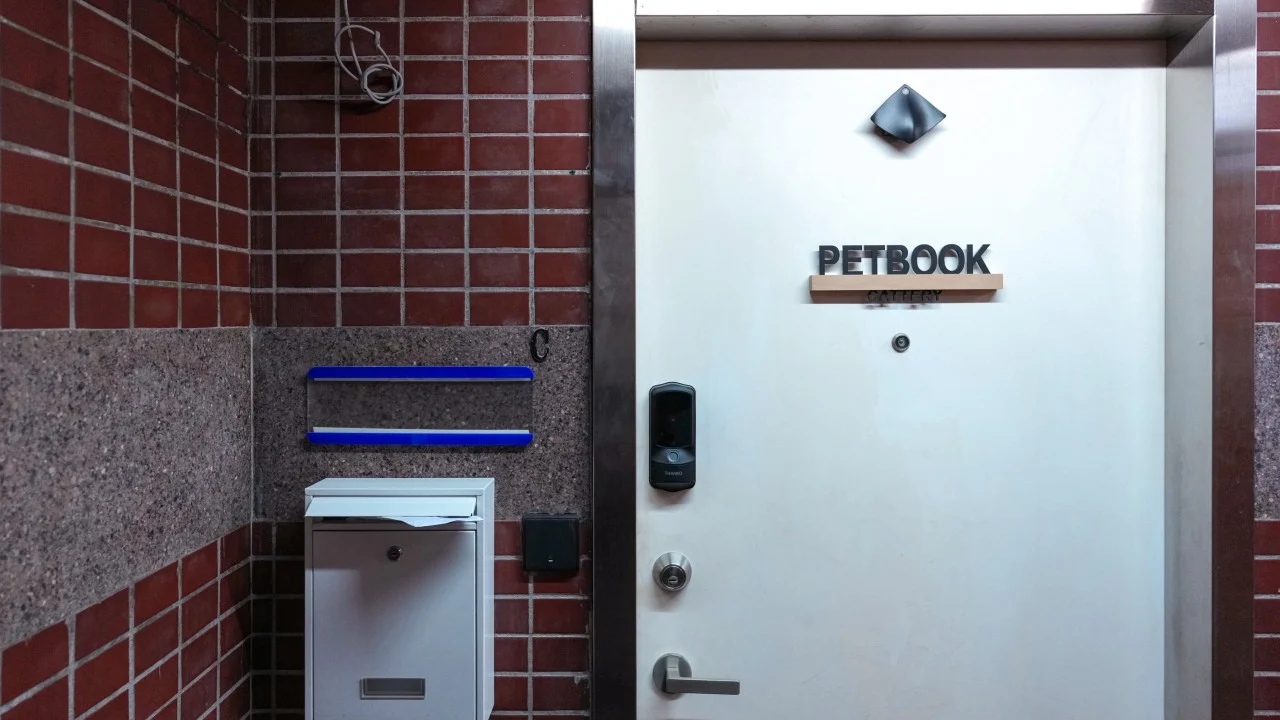 Animal welfare groups slam Hong Kong pet shop for offering cat rental service