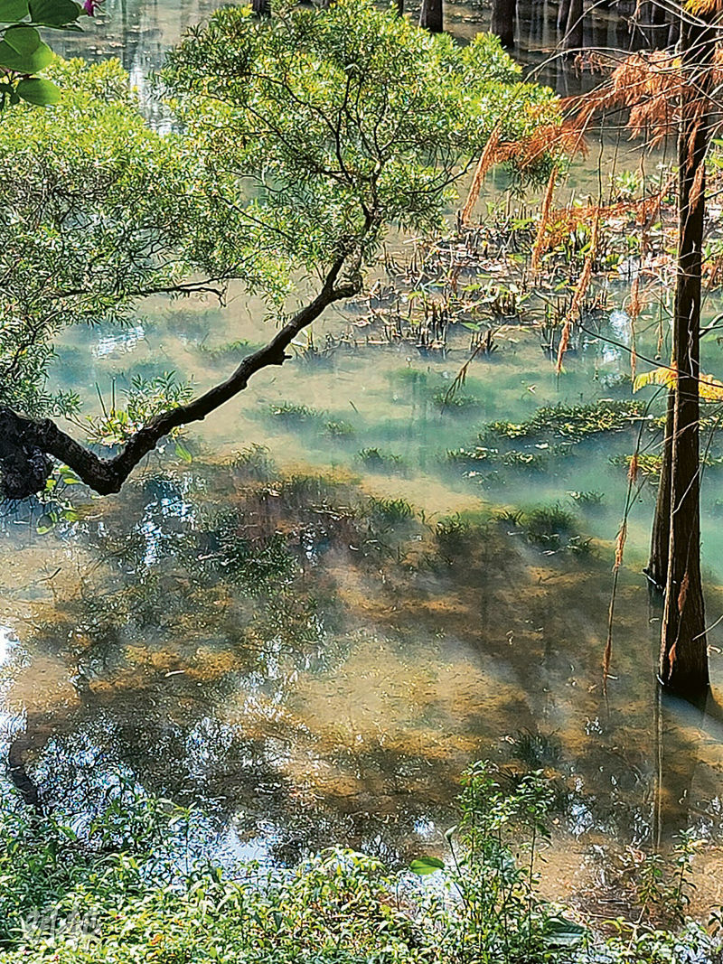 九市速遞：麓湖化作水墨畫仙境 - 20260131 - 港聞 - 每日明報
