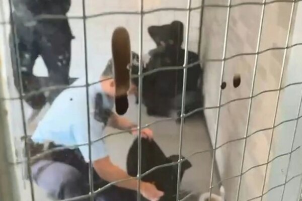 Hong Kong police arrest another man with knife, days after earlier case in Tuen Mun