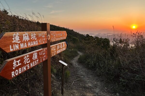 Hong Kong hiker, 63, airlifted to hospital after collapsing on Robin’s Nest trail