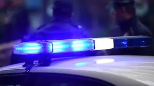 Westmoreland County woman accused of abandoning multiple cats after getting evicted from apartment