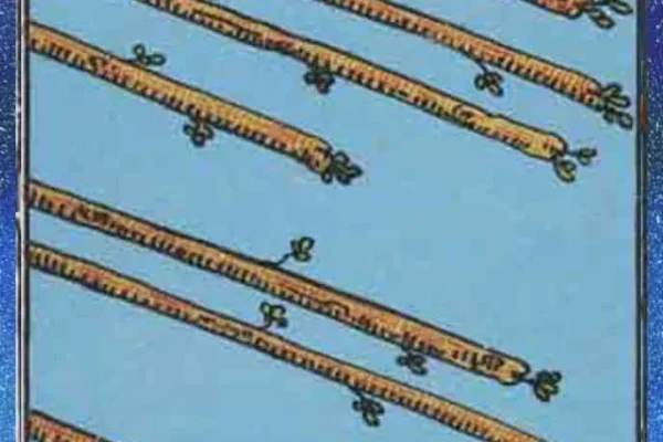 Capricorn Tarot Horoscopes: January 2026