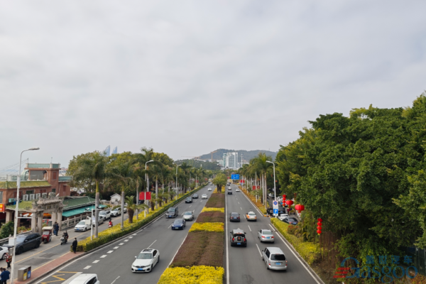 China's passenger vehicle market faces slow start in 2026, but key shifts underway