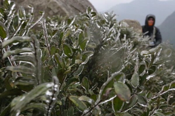 On This Day | In 2016, Hong Kong shivered through coldest day in 6 decades – SCMP archive