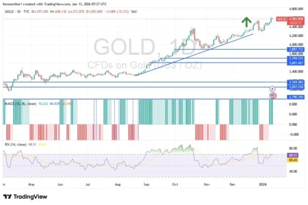 Gold Analysis 13/01: Record-Breaking Rallies (Chart)
