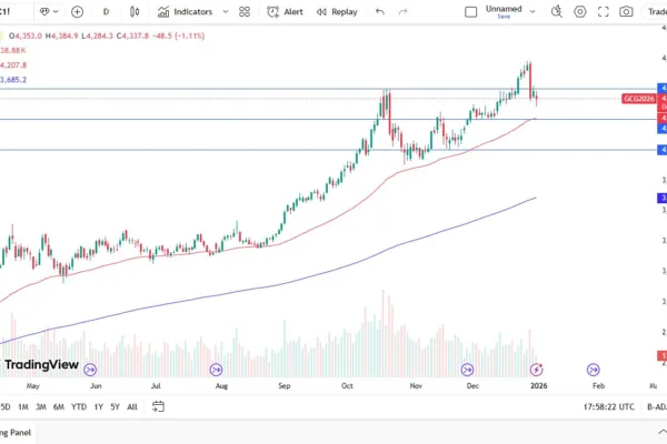 Gold Forecast Today 02/01: Buyers on Dips (Chart&Video)