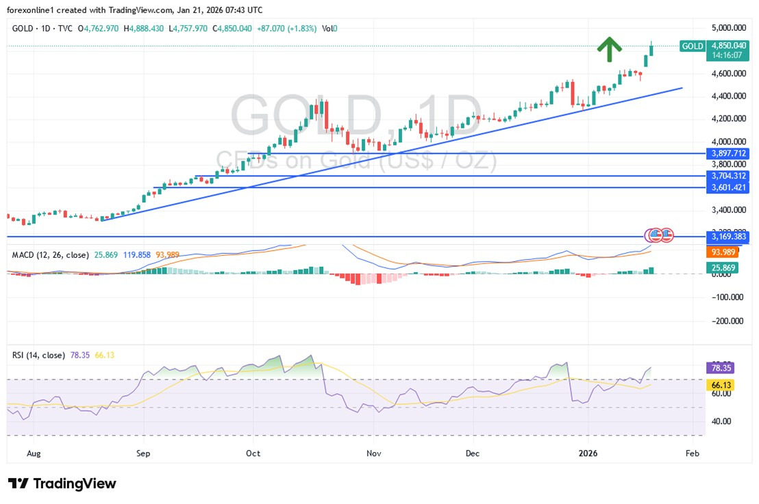 XAU/USD (Daily Chart) 21/01